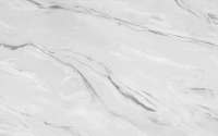 Щит мебельный Скиф №43 (аргус светлый глянец) (3000*600*6мм)
