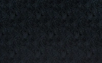 Щит мебельный Скиф №02 (серебряный лес) (3000*600*6мм) ВЫВОД