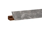fossil