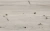 101