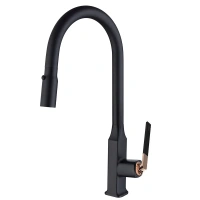 Смеситель Moer DL-05067 Черный