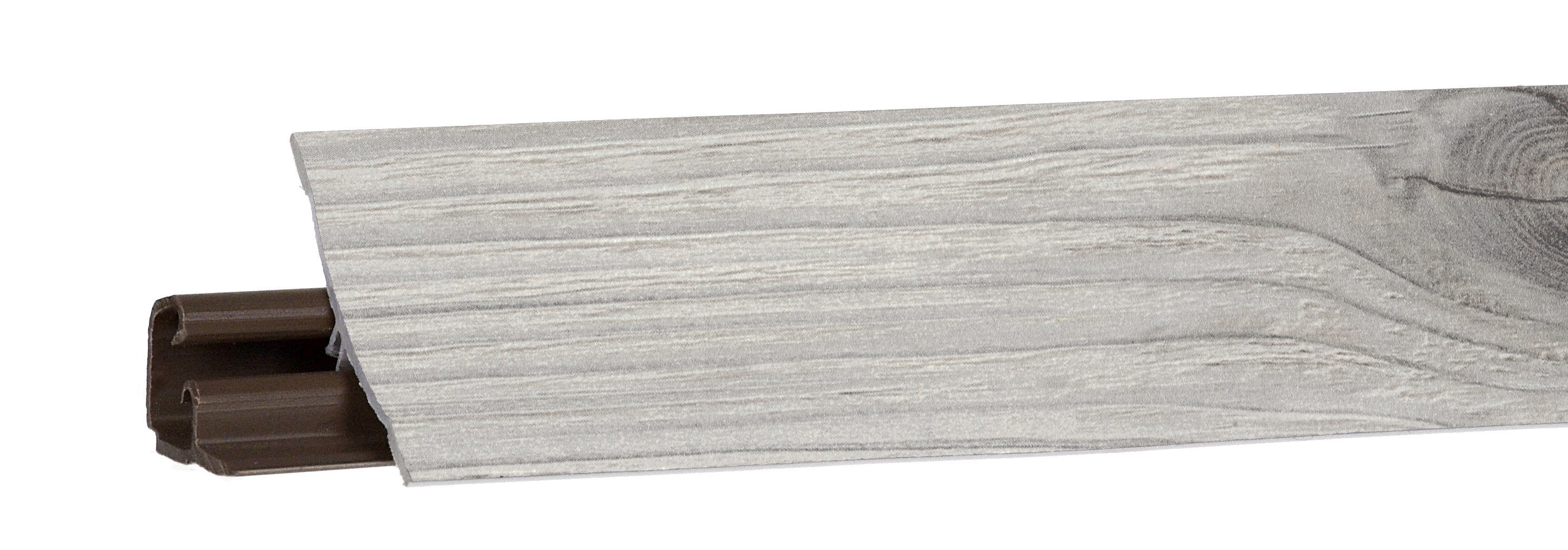 сосна бискайская