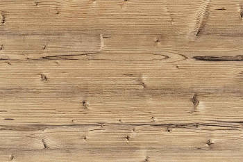 116 Ель золотистая _ 01 _ для сайта 