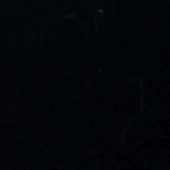 P006